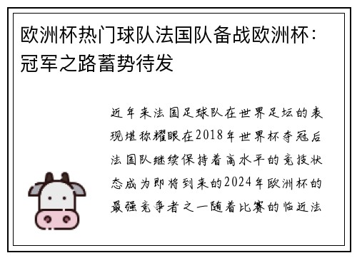 欧洲杯热门球队法国队备战欧洲杯：冠军之路蓄势待发